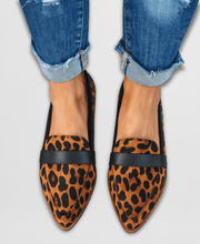 Leopard