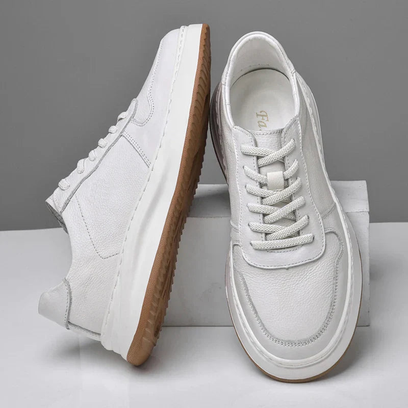 Dieter | Herren Lederschuhe Bequem Komfort Klassisch