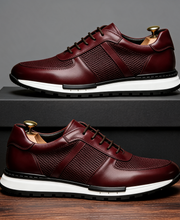 Burgund